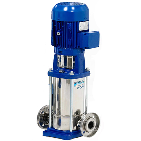 Goulds Vertical Multistage Pump - PumpsOk