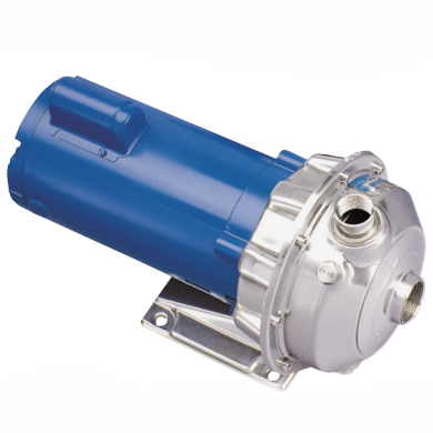 goulds npe pumps end suction centrifugal pump in stainless